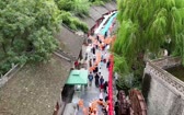 被好风景“收买”，剩下的全是好心情...