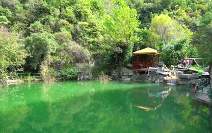 走进竹林大峡谷的浅秋，便撞进了金色...